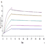 Human CDCP1 Protein (CDC-HM101)
