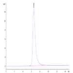 Human CDCP1 Protein (CDC-HM101)