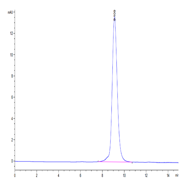 Human CDCP1 (30-368) Protein (CDC-HM10D)