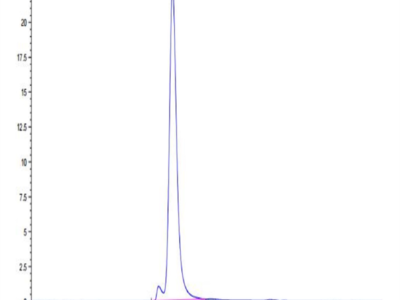 Mouse CDCP1 Protein (CDC-MM101)