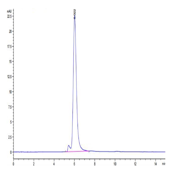 Mouse CDCP1 Protein (CDC-MM101) Mouse CDCP1 Protein (CDC-MM101)