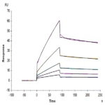 Biotinylated Mouse CDCP1 Protein (CDC-MM401B)