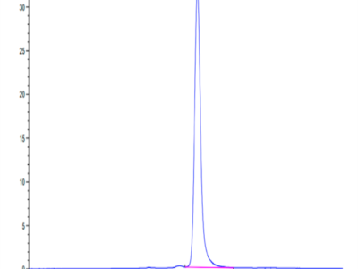 Rat CDCP1 Protein (CDC-RM101)