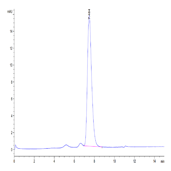 Human CD3D/CD3 delta Protein (CDD-HM101) Human CD3D/CD3 delta Protein (CDD-HM101)