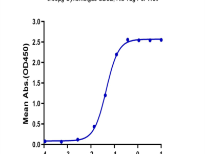 Cynomolgus CD3E/CD3 epsilon Protein (CDE-CM101)