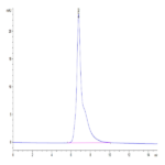 Cynomolgus CD3E/CD3 epsilon Protein (CDE-CM101)