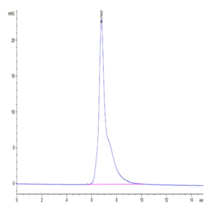 Cynomolgus CD3E/CD3 epsilon Protein (CDE-CM101)