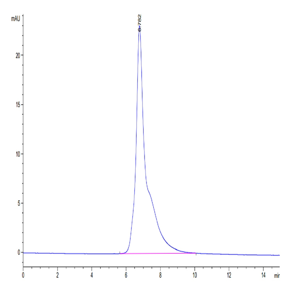 Cynomolgus CD3E/CD3 epsilon Protein (CDE-CM101)