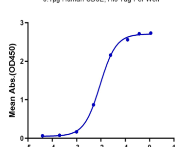 Human CD3E/CD3 epsilon Protein (CDE-HM101)