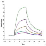Cynomolgus CDH3/Cadherin 3 Protein (CDH-CM103)