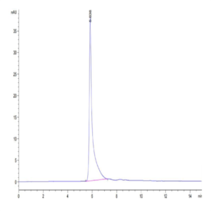 Human CDH19 Protein (CDH-HE019)