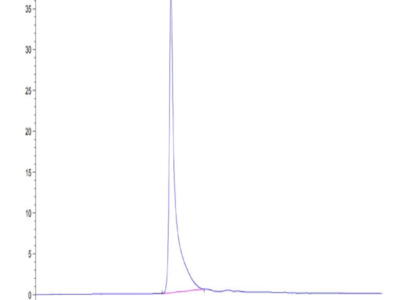 Human CDH19 Protein (CDH-HE019)