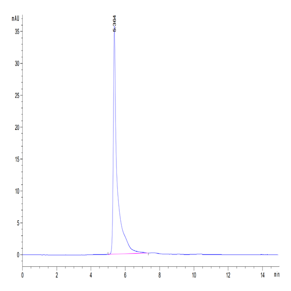 Human CDH3/Cadherin 3 Protein (CDH-HM103)