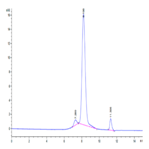 Human N Cadherin Protein (CDH-HM10N)