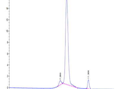 Human N Cadherin Protein (CDH-HM10N)