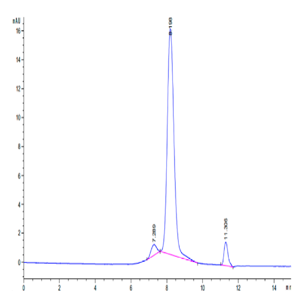Human N Cadherin Protein (CDH-HM10N) Human N Cadherin Protein (CDH-HM10N)