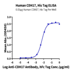 Human CDH17/Cadherin 17 Protein (CDH-HM117)