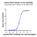 Human CDH17/Cadherin 17 Domain 1-6 Protein (CDH-HM1D1)