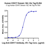 Human CDH17/Cadherin 17 Domain 1&2 Protein (CDH-HM1D5)