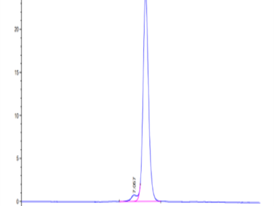 Human CDH17/Cadherin 17 Domain 6-7 Protein (CDH-HM2D2)