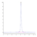 Human CDH17/Cadherin 17 Domain 6-7 Protein (CDH-HM3D2)