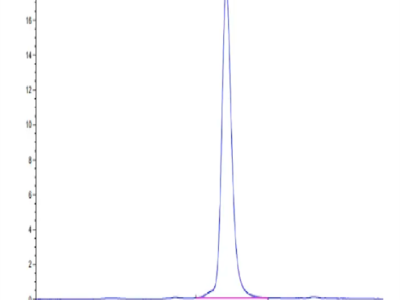 Human CDH17/Cadherin 17 Domain 6-7 Protein (CDH-HM3D2)