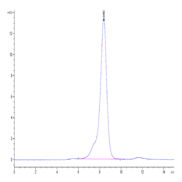 Human CDH17/Cadherin 17 Domain 3&4 Protein (CDH-HM3D3) Human CDH17/Cadherin 17 Domain 3&4 Protein (CDH-HM3D3)