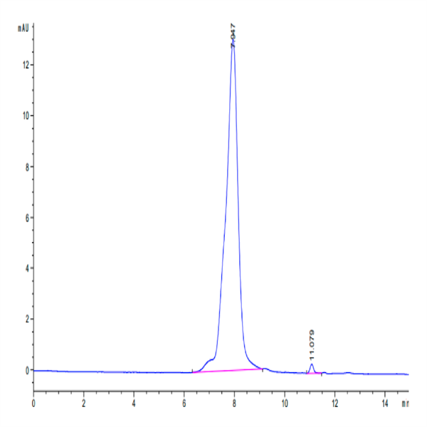 Biotinylated Human CDH17/Cadherin 17 Protein (CDH-HM417B)