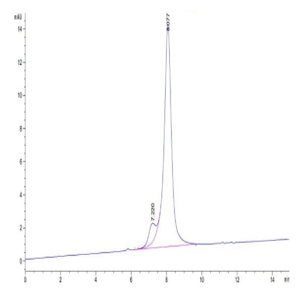 Mouse CDH6/Cadherin-6 Protein (CDH-MM106) Mouse CDH6/Cadherin-6 Protein (CDH-MM106)