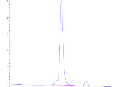 Mouse CDH17/Cadherin 17 Protein (CDH-MM117)