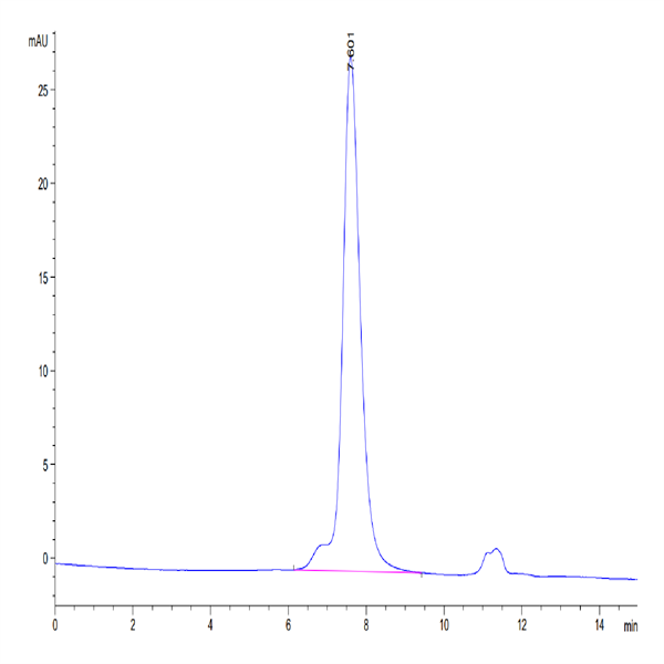 Mouse CDH17/Cadherin 17 Protein (CDH-MM117)