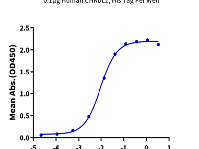 Human CHRDL1 Protein (CDL-HE101)