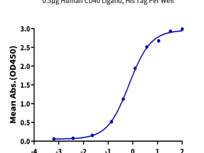 Human CD40 Ligand/TNFSF5 Protein (CDL-HE14L)