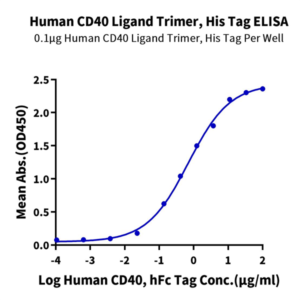 Human CD40 Ligand/TNFSF5 Trimer Protein (CDL-HM140)