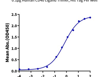 Human CD40 Ligand/TNFSF5 Trimer Protein (CDL-HM140)