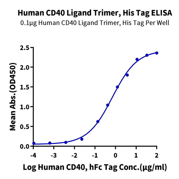 Human CD40 Ligand/TNFSF5 Trimer Protein (CDL-HM140) Human CD40 Ligand/TNFSF5 Trimer Protein (CDL-HM140)