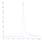 Human CD40 Ligand/TNFSF5 Trimer Protein (CDL-HM140)