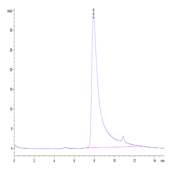 Human CD40 Ligand/TNFSF5 Trimer Protein (CDL-HM140)