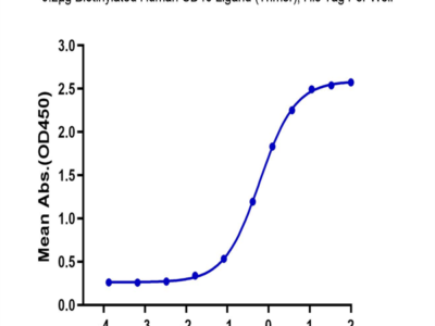 Biotinylated Human CD40 Ligand/TNFSF5 Trimer Protein (Primary Amine Labeling) (CDL-HM140B)