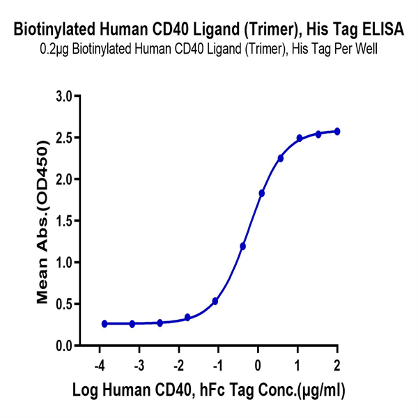 Biotinylated Human CD40 Ligand/TNFSF5 Trimer Protein (Primary Amine Labeling) (CDL-HM140B) Biotinylated Human CD40 Ligand/TNFSF5 Trimer Protein (Primary Amine Labeling) (CDL-HM140B)