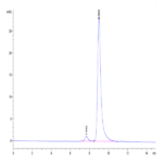 Biotinylated Human CD40 Ligand/TNFSF5 Trimer Protein (Primary Amine Labeling) (CDL-HM140B)