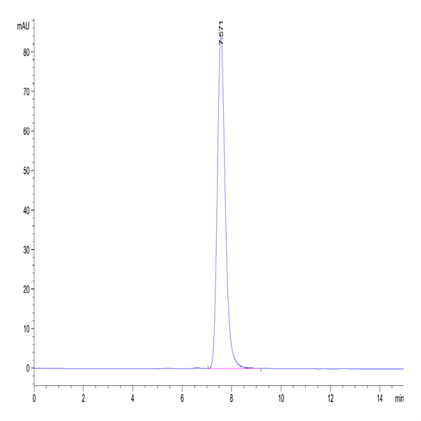 Human CHODL Protein (CDL-HM201) Human CHODL Protein (CDL-HM201)