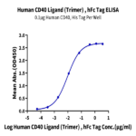 Human CD40 Ligand/TNFSF5 Trimer Protein (CDL-HM240)