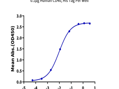 Human CD40 Ligand/TNFSF5 Trimer Protein (CDL-HM240)