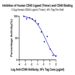 Human CD40 Ligand/TNFSF5 Trimer Protein (CDL-HM240)