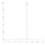 Human CD40 Ligand/TNFSF5 Trimer Protein (CDL-HM240)