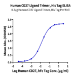 Human CD27 Ligand/CD70 Trimer Protein (CDL-HM427)