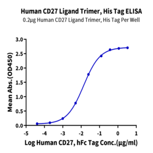 Human CD27 Ligand/CD70 Trimer Protein (CDL-HM427)