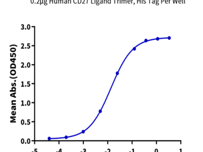 Human CD27 Ligand/CD70 Trimer Protein (CDL-HM427)