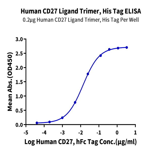 Human CD27 Ligand/CD70 Trimer Protein (CDL-HM427)